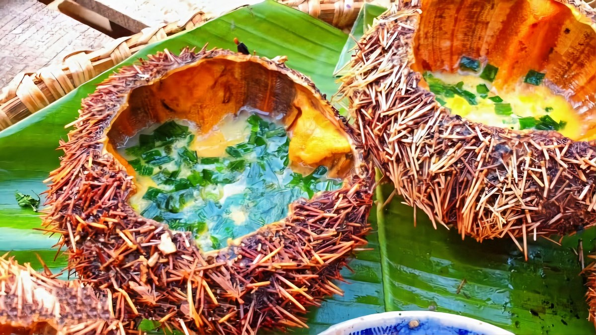 Món ăn được chế biến từ nhum biển tươi