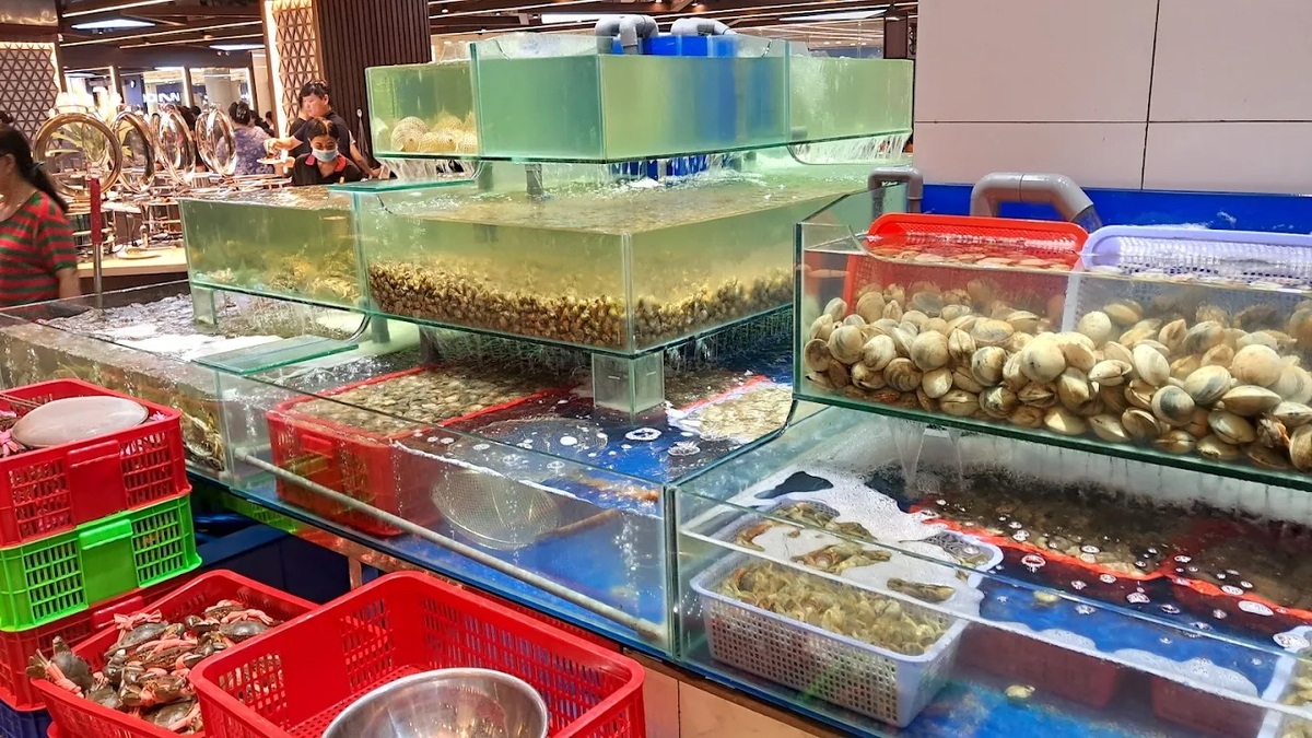 Luôn chú ý đến độ săn chắc và cách bảo quản của hải sản khi lựa chọn ăn buffet