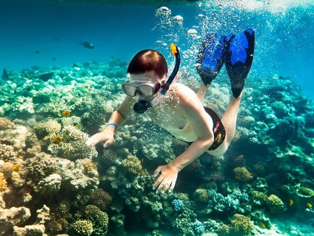 Lặn ngắm san hô là trải nghiệm khó quên cho du khách khi đến với Hòn Mun