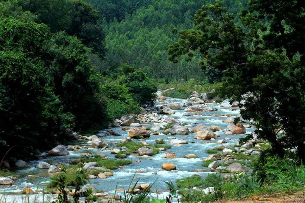 Khám phá thiên nhiên hoang sơ tại Khu bảo tồn thiên nhiên Hòn Bà