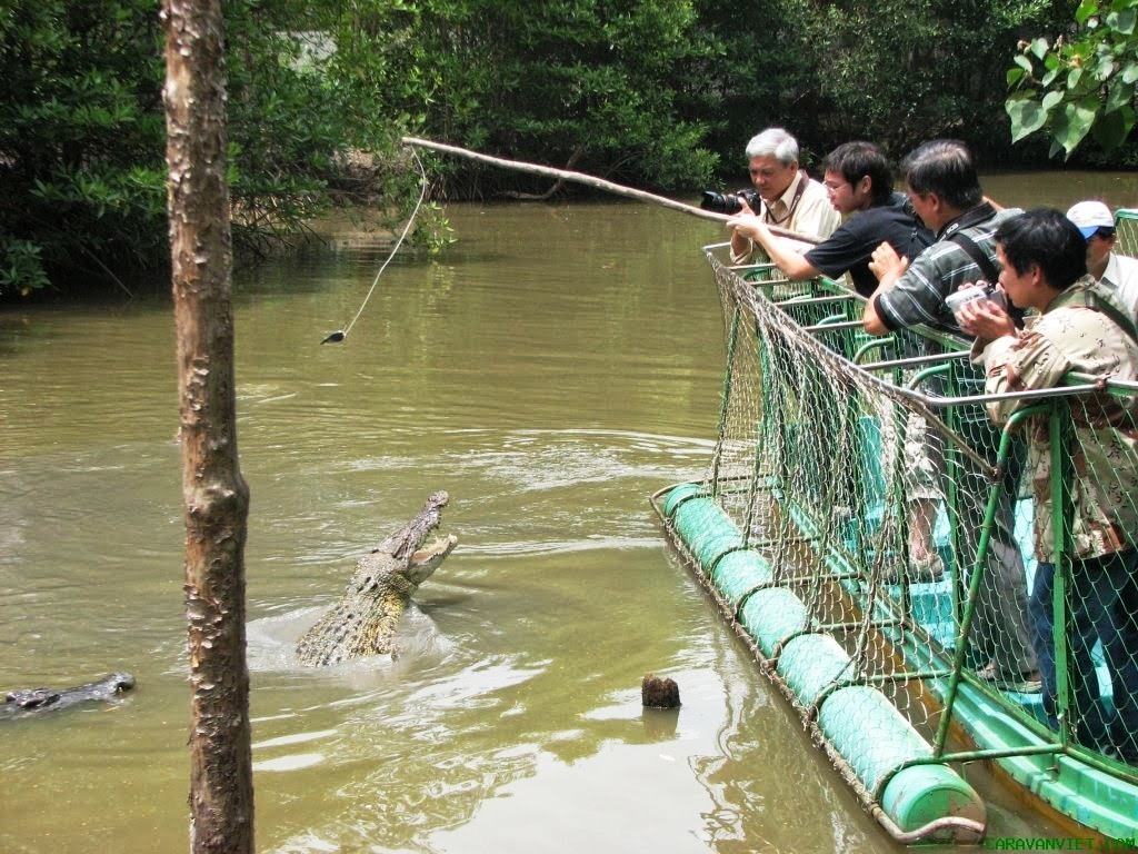 Du khách có thể trải nghiệm câu cá sấu ở khu du lịch Vàm Sát