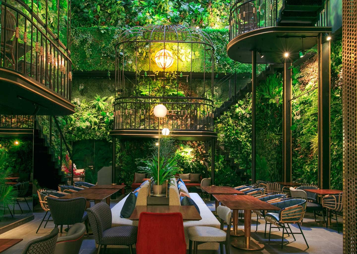 Terrace Cafe với những chiếc lồng chim độc đáo thu hút giới trẻ 