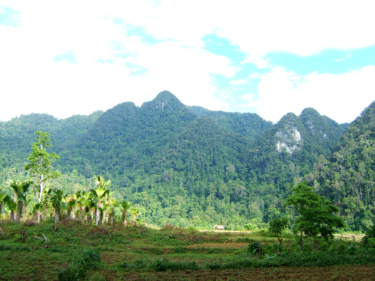 Rừng nguyên sinh Xuân Sơn với cảnh quan hoang sơ 