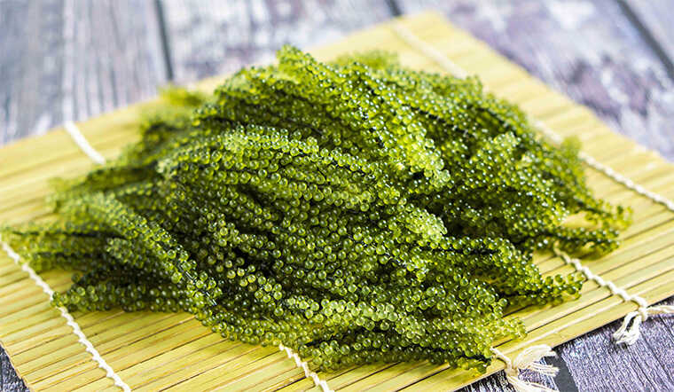 Những chùm rong nho biển xanh tươi