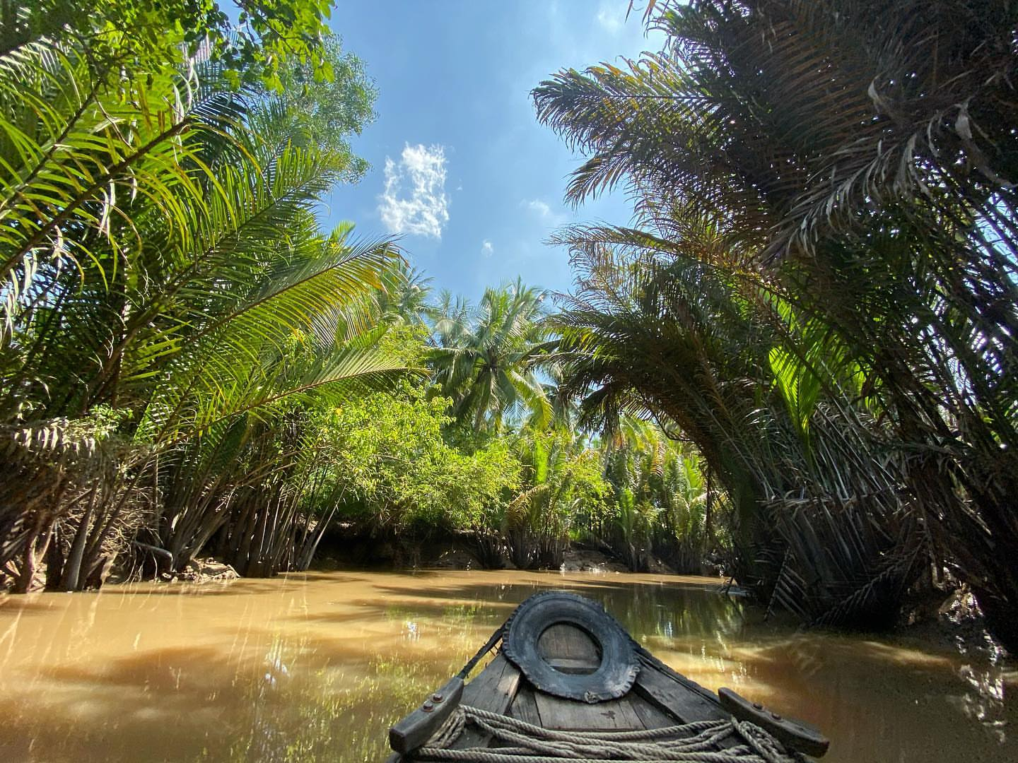 Khám phá miền Tây sông nước hữu tình. Thuyền len lỏi qua rạch dừa, thưởng thức trái cây và nghe đờn ca tài tử tại Bến Tre