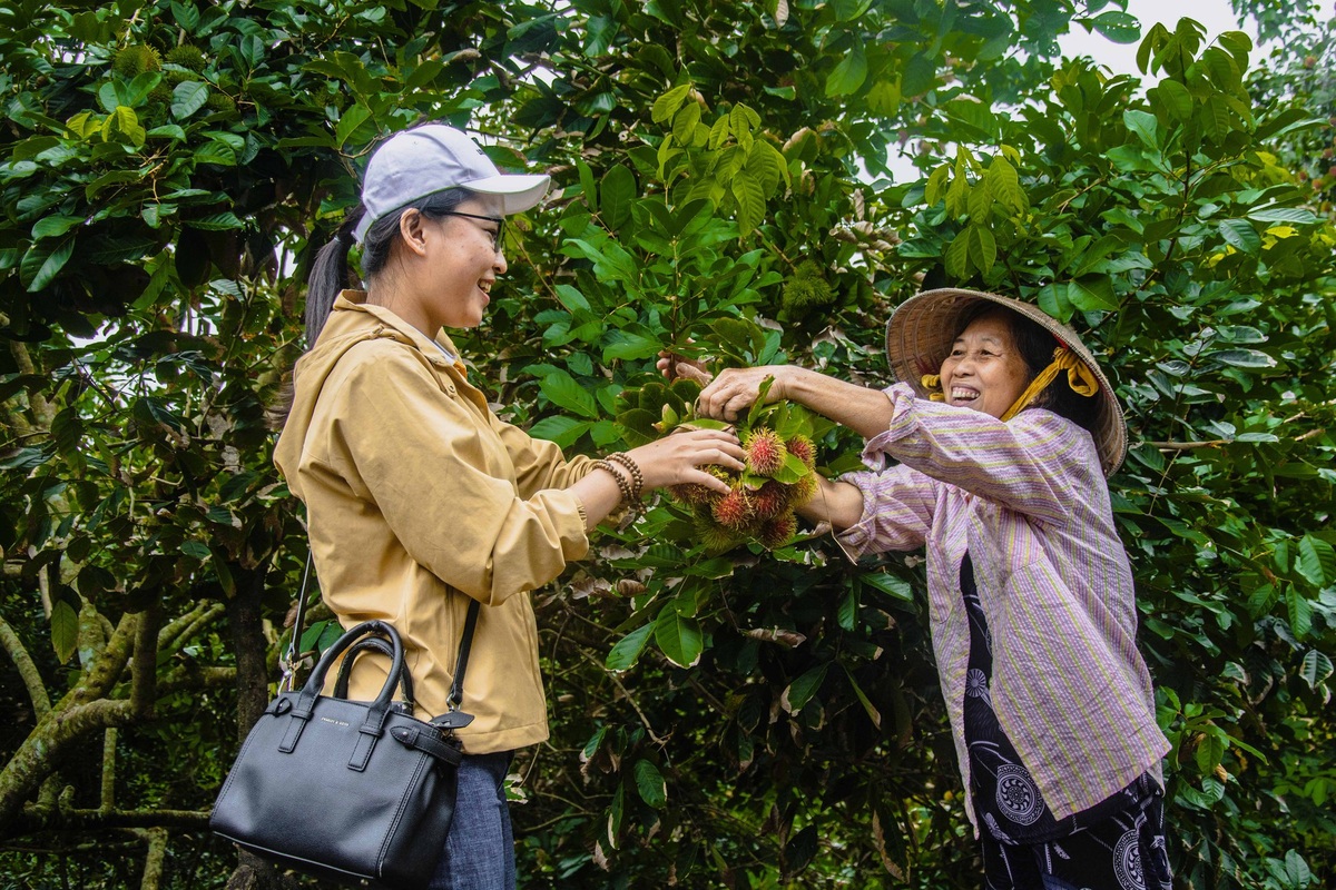 Cù lao An Bình tiếp đón nhiều du khách muốn tìm về cuộc sống bình dị, gần gũi với thiên nhiên