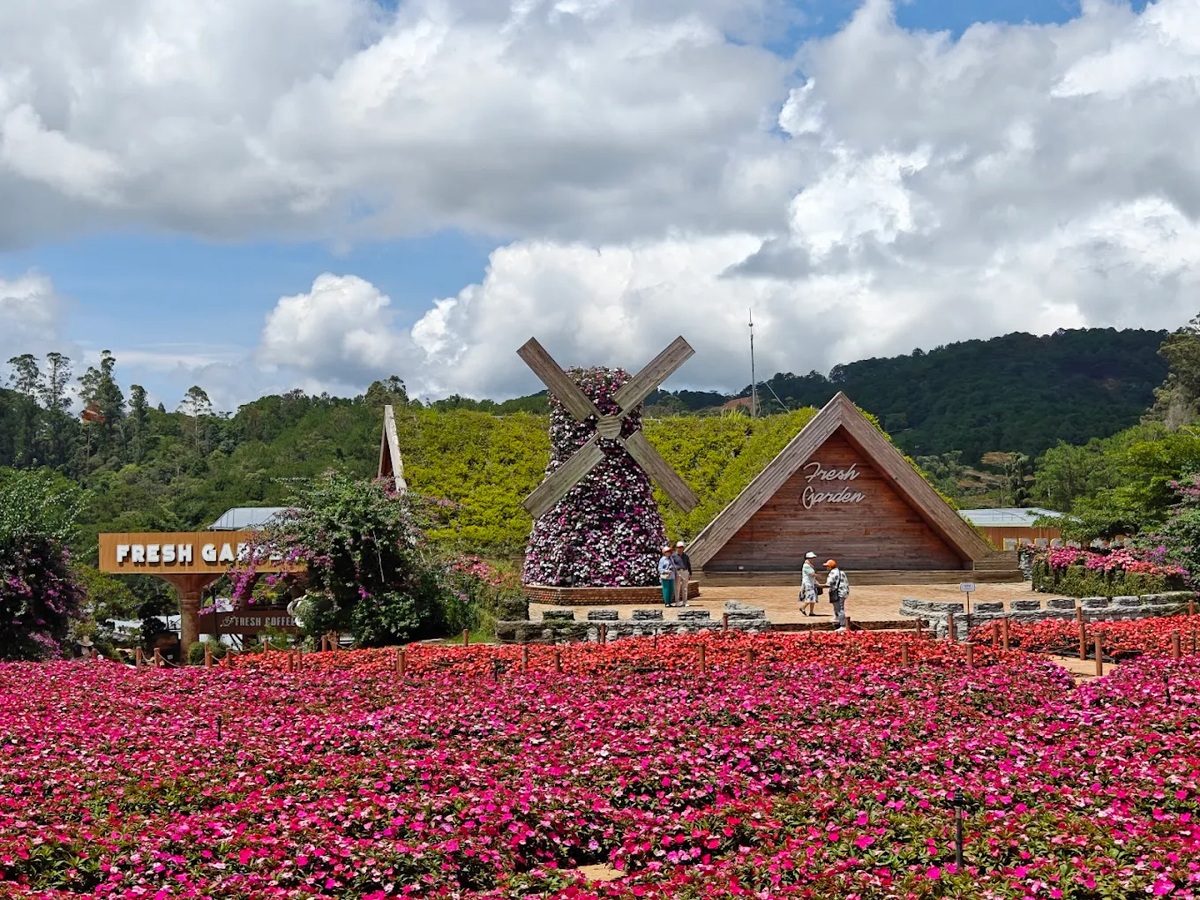 Cánh quạt gió Hà Lan