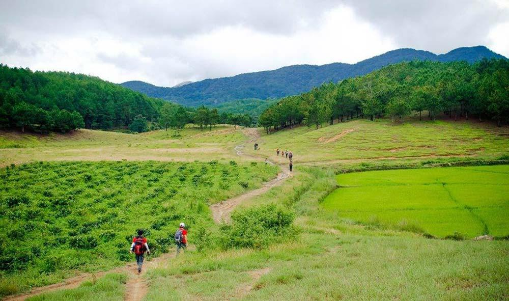 Rừng Tà Năng là một phần của cung đường trekking Tà Năng - Phan Dũng nổi tiếng.