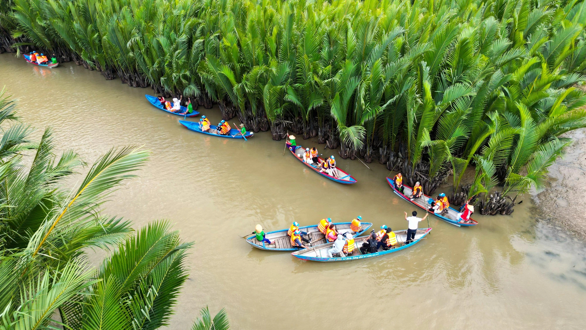 Rừng dừa Cà Ninh 