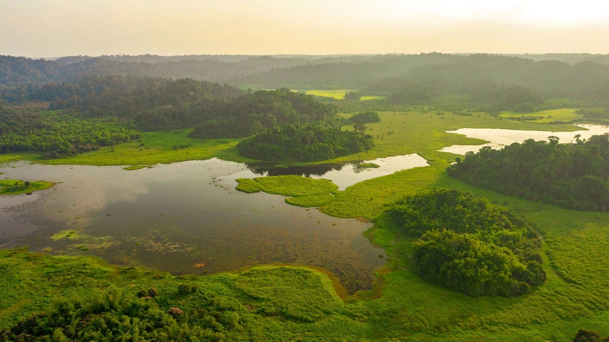Khu rừng nguyên sinh rộng lớn, lý tưởng để trekking, ngắm thú, hòa mình vào thiên nhiên hoang dã