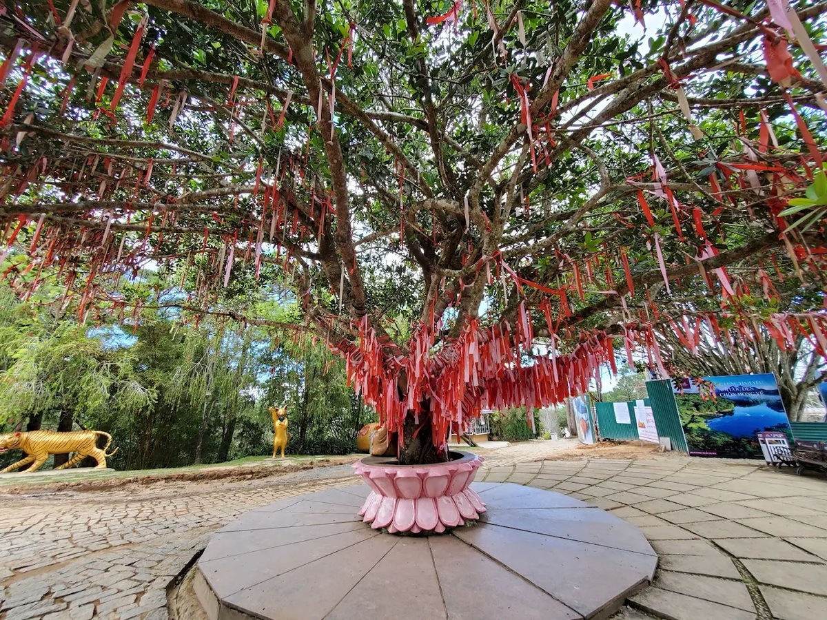 Cây ước nguyện