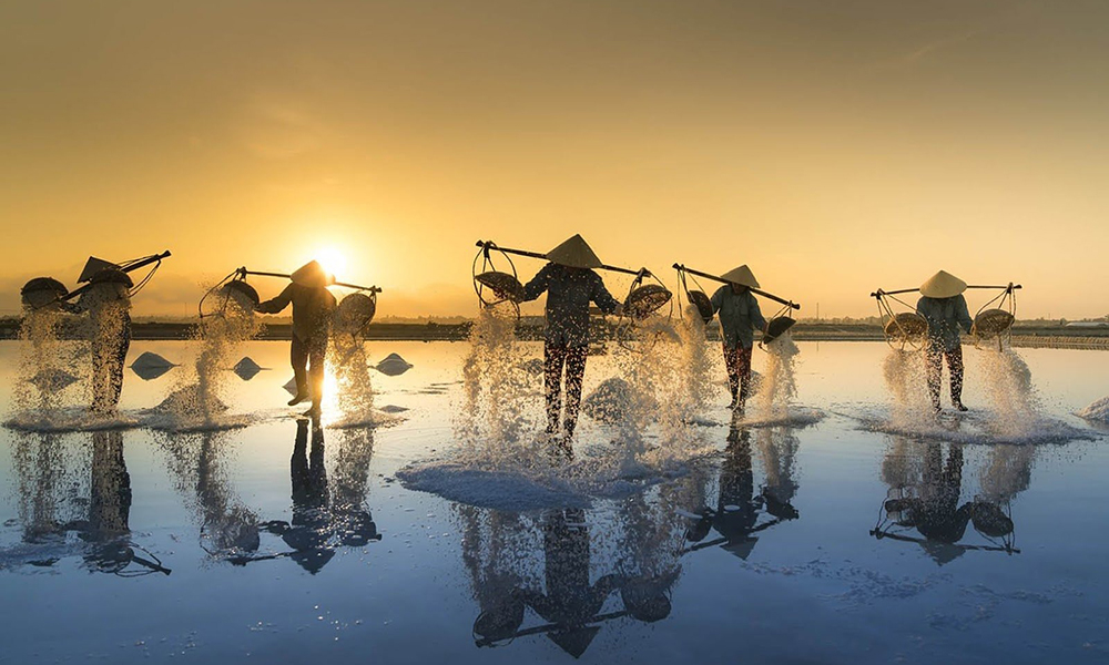 Khung cảnh những ô ruộng muối trắng tinh lấp lánh dưới ánh mặt trời tạo nên bức tranh tuyệt đẹp