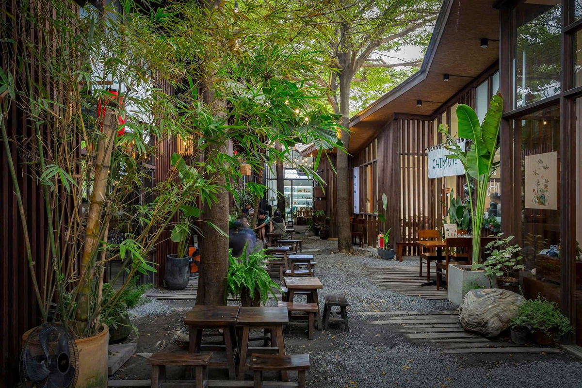 Mầm Coffee là không gian xanh mát với thiết kế mở, nhiều cây xanh và ánh sáng tự nhiên, nơi bạn có thể tìm thấy sự bình yên trong từng tách cà phê 