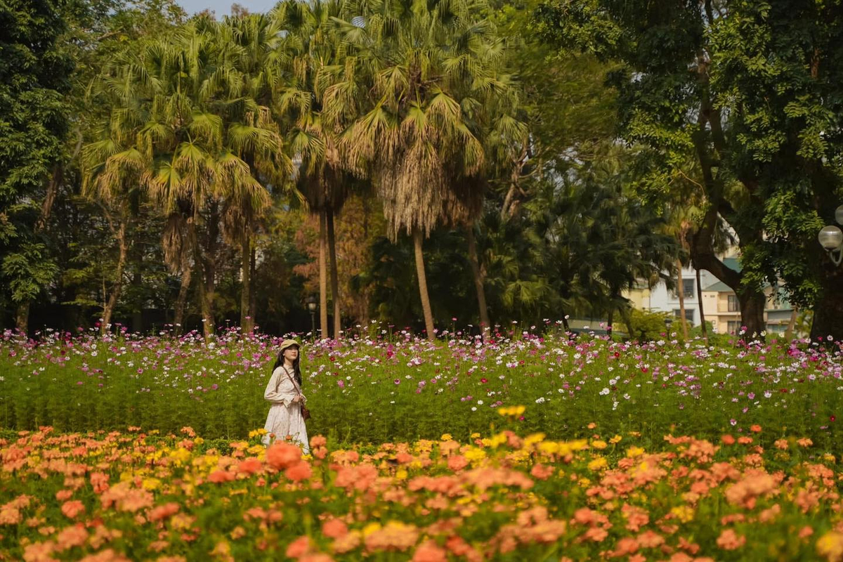 Không gian tràn ngập sắc màu tại công viên Thống Nhất 