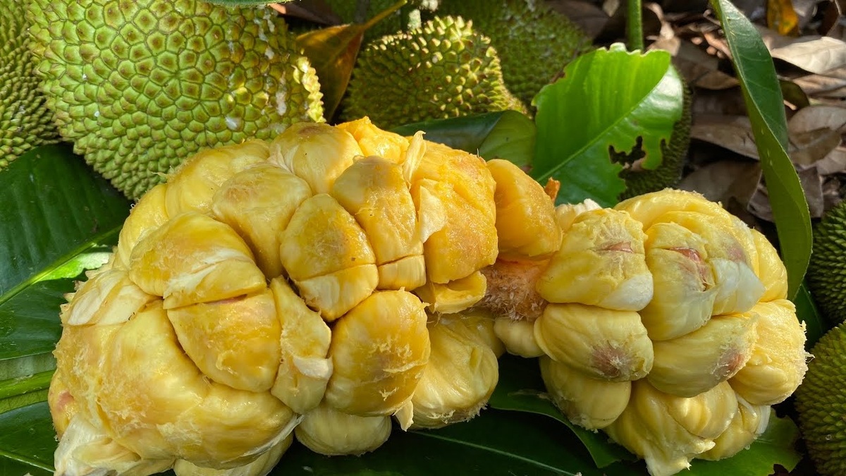 Mít thơm nức, cơm dày, vị ngọt lịm, ăn một lần là nhớ mãi hương vị 