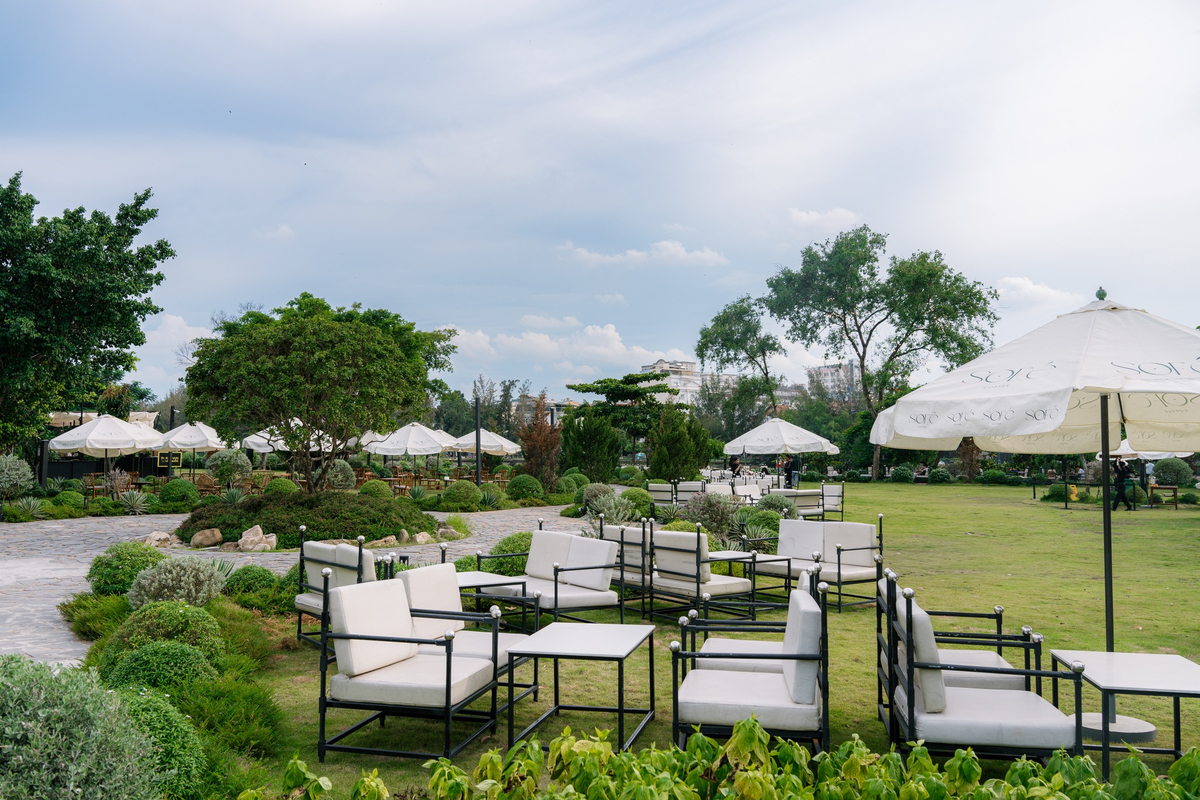 SOFÉ gây ấn tượng với không gian phủ cây xanh và thảm cỏ rộng lớn, nằm ngay cạnh bờ sông Sài Gòn độc đáo 