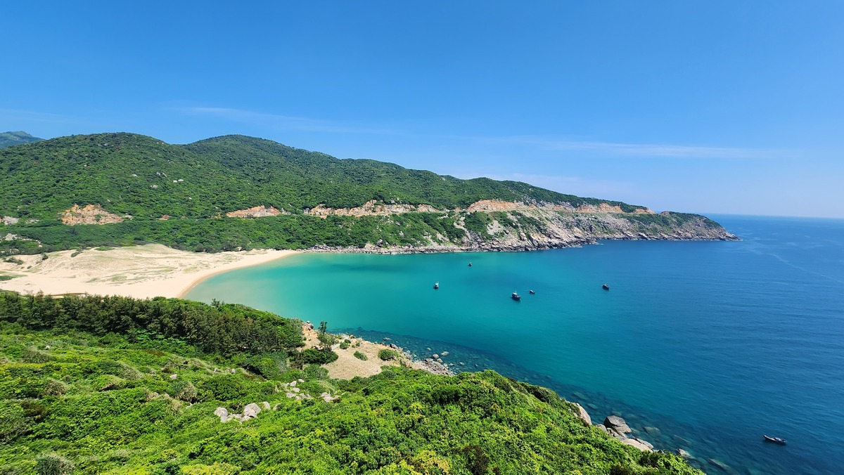 Phiến đá phủ rêu xanh kỳ diệu tại Bãi Tiên