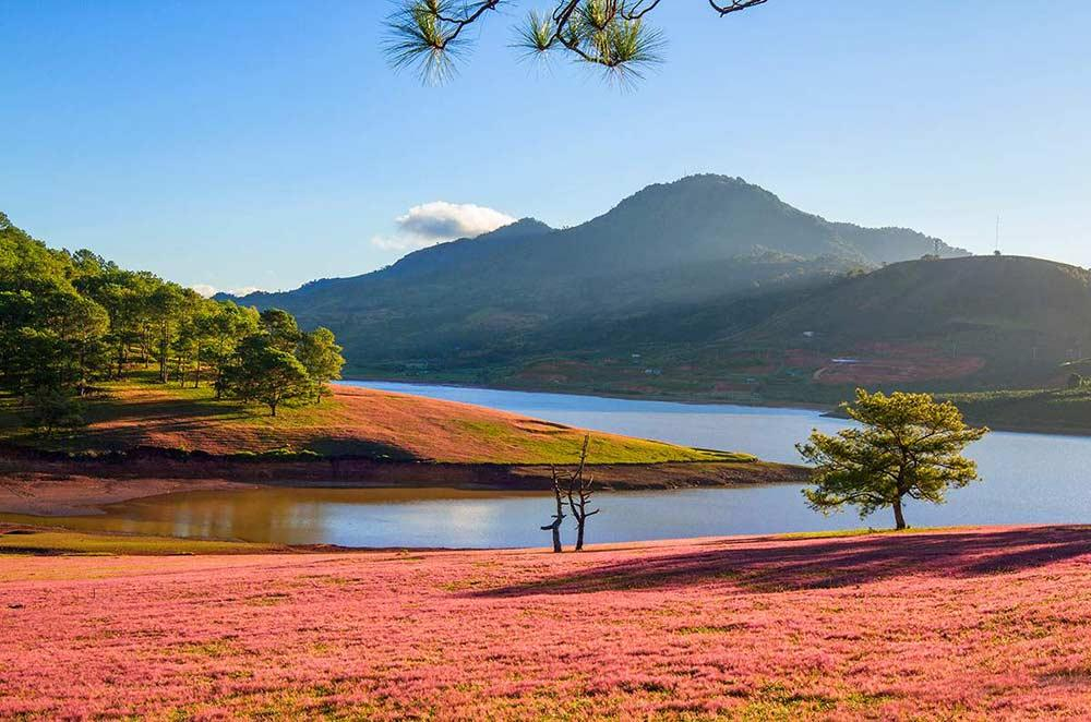 Hồ Suối Vàng nổi bật và thu hút du khách với vẻ đẹp lãng mạn, thơ mộng