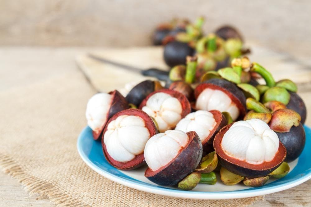 mangosteen-in-vietnam