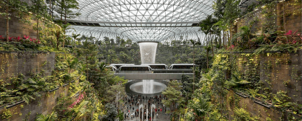 Cẩm nang khám phá sân bay Singapore (Changi) hiện đại nhất thế giới 
