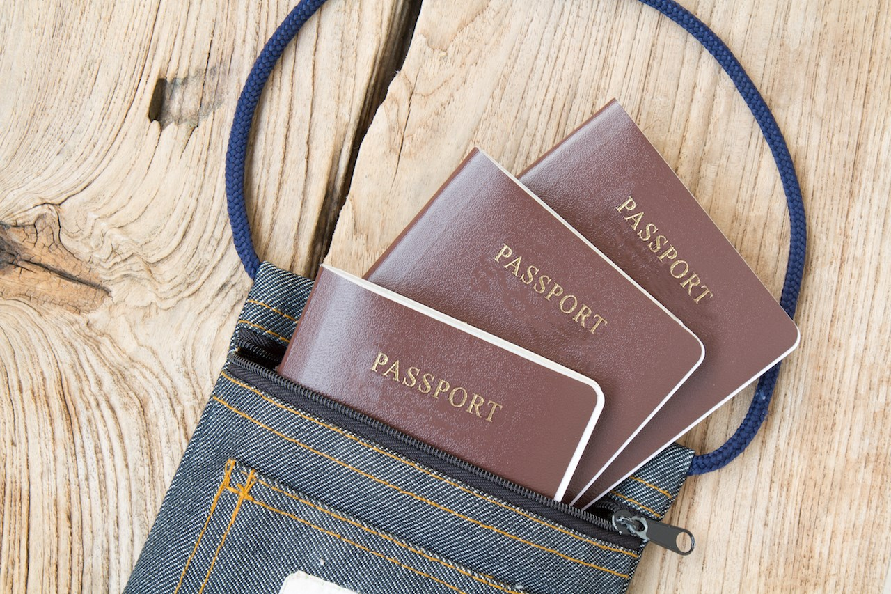 フライト前に必要な入国書類を十分に準備しておくことをお勧めします（出典：インターネット）
