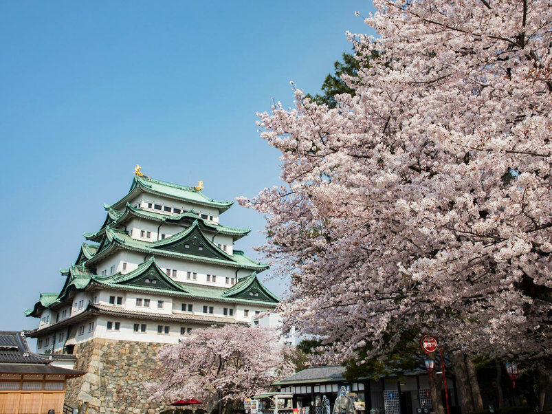 名古屋城は象徴的な金の鯱、豊かな武士の歴史、見事な季節の景色で魅力的です
