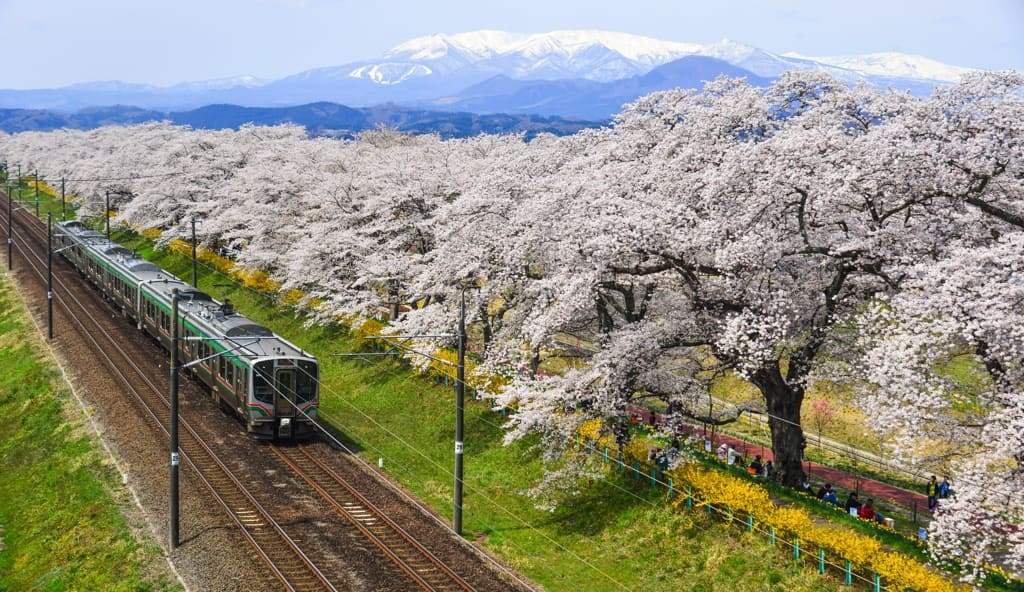 日本の白石川沿いの息をのむようなパノラマビュー（出典 インターネット）