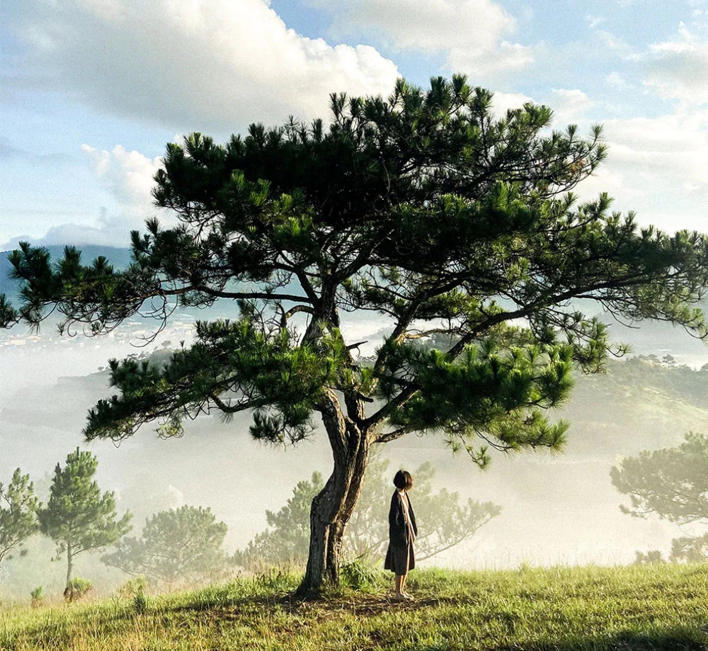 Da Lat is often referred to as the city of eternal spring