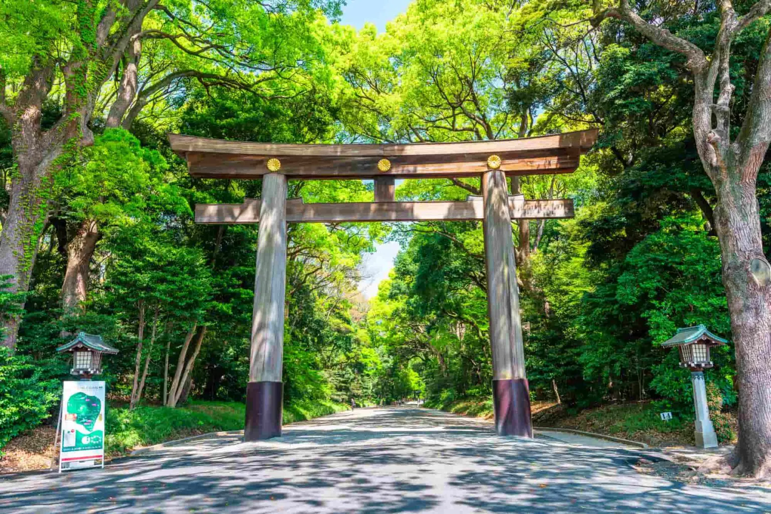 広大な森の中で静寂に包まれる明治神宮 （グオンインターネット）