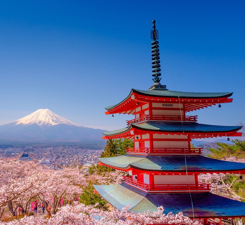 Khung cảnh đẹp mắt của Nhật Bản với sắc hoa anh đào lãng mạn, thơ mộng