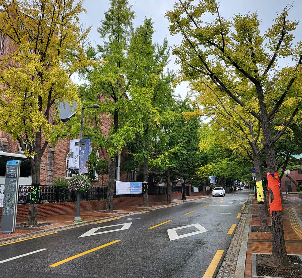 Góc đường phổ nhỏ gần khu vực cung điện Deoksugung của Hàn Quốc 