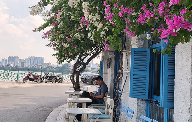 Hồ Tây mộng mơ, an yên tĩnh thân thích lòng Thủ đô Hà Thành ngàn năm văn hiến 