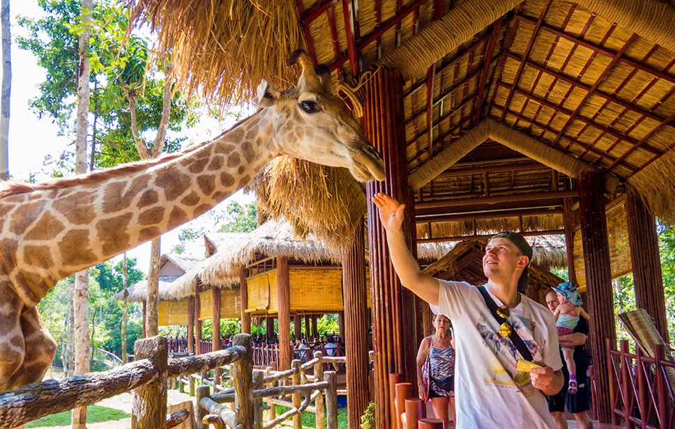 Vinpearl Safari Phú Quốc là địa điểm tham quan và giải trí thú vị nên ghé khi đến đảo ngọc