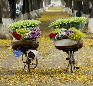 Hà Nội 4 - Normal Home Fare