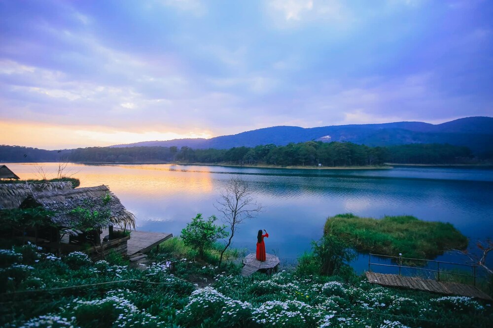 Cập nhật 2025: Cẩm nang check-in phim trường Happy Hill Đà Lạt