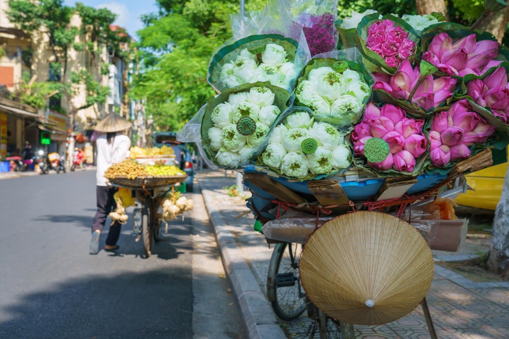 Những gánh hoa sen khoe sắc hương trên đường phố Hà Nội vào mùa thu 